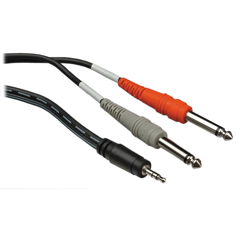 Hosa Technology Stereo Mini (3.5mm) Male to 2 Mono 1/4" Male Insert Y-Cable - 10'