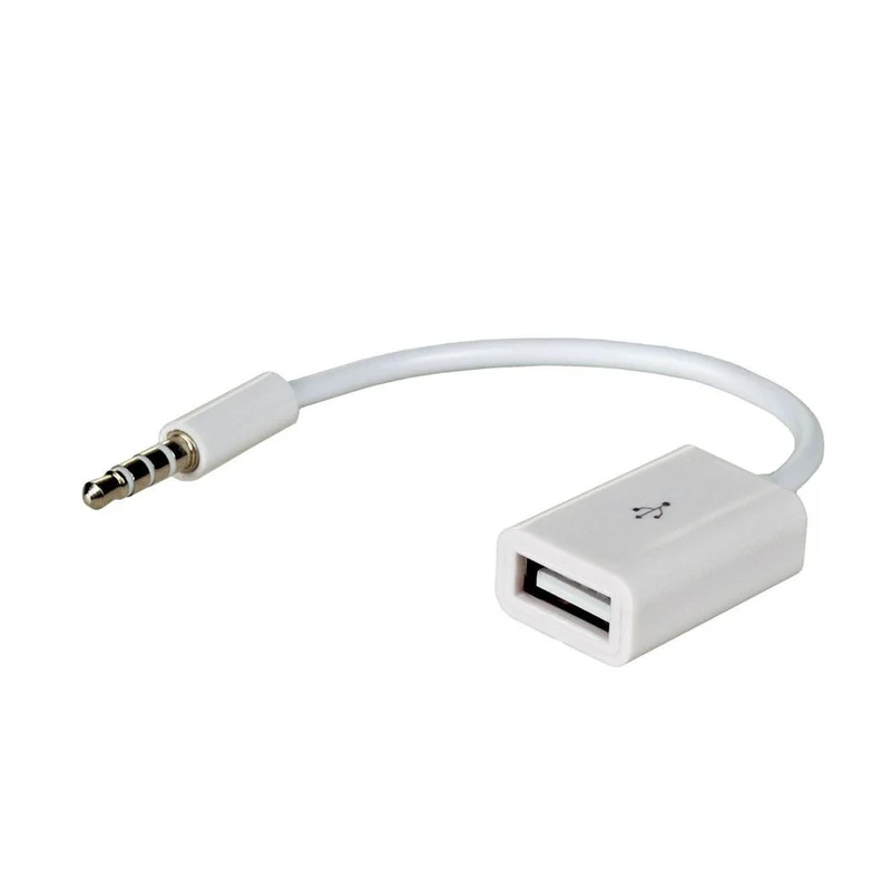 Adaptateur Akyga AK-AD-24 USB A (f) / mini Jack (m) 15cm