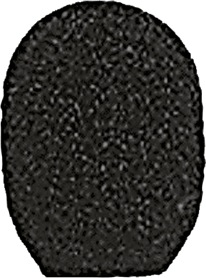RPM304